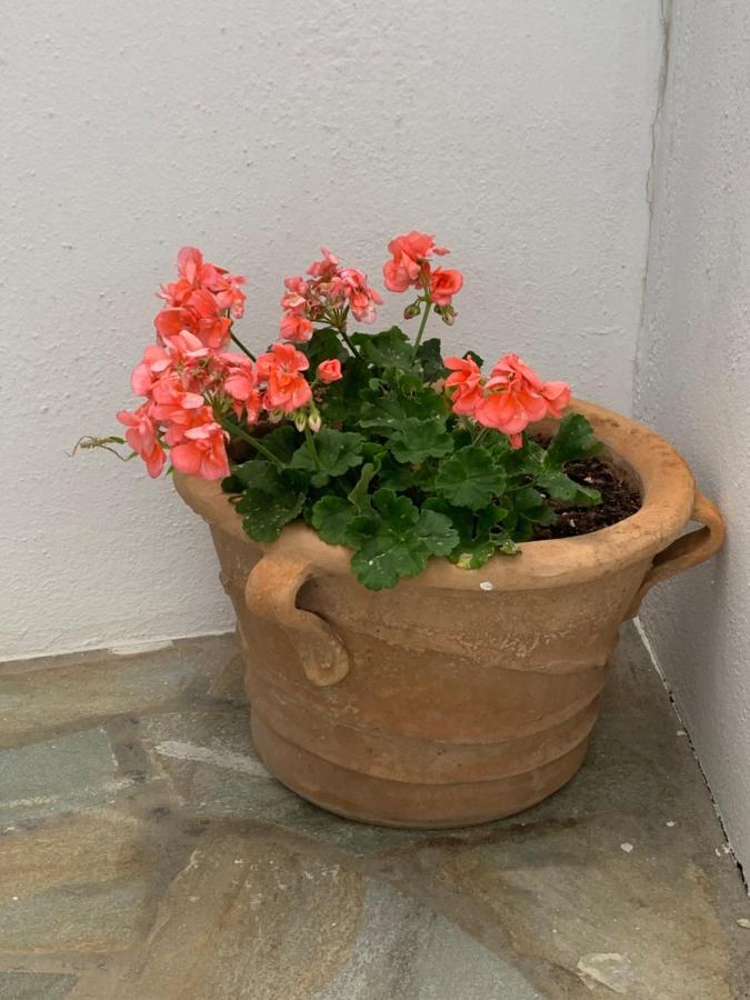 הוילה פיסו ליבאדי Irene'S House מראה חיצוני תמונה