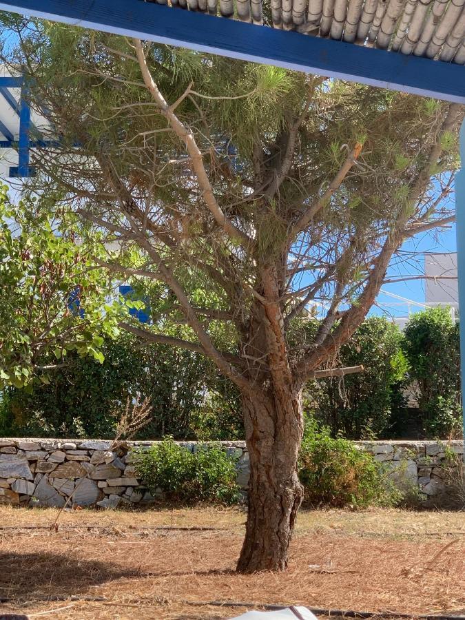 הוילה פיסו ליבאדי Irene'S House מראה חיצוני תמונה