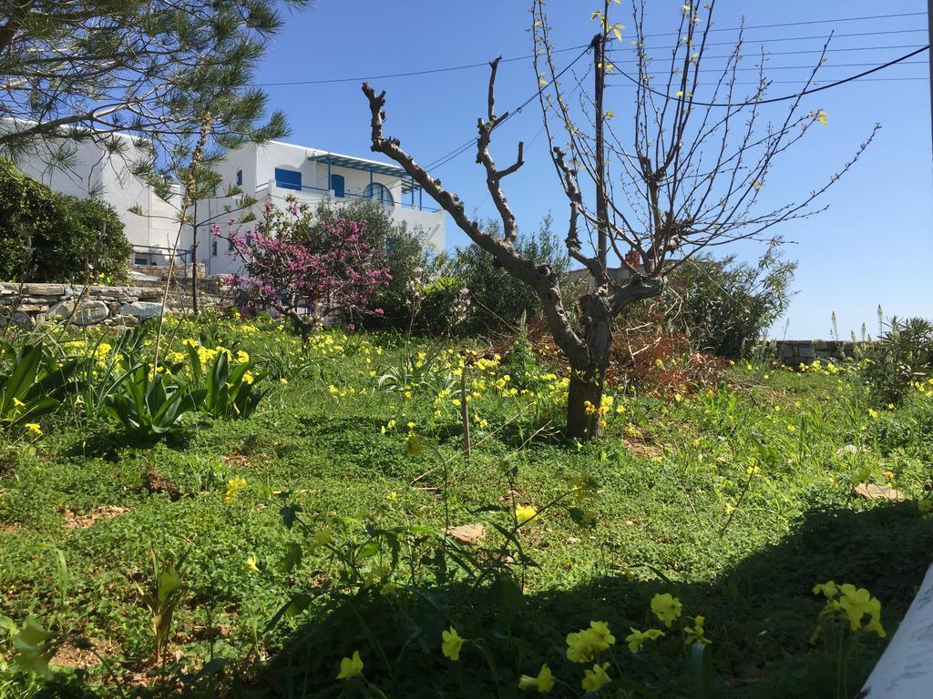 הוילה פיסו ליבאדי Irene'S House מראה חיצוני תמונה